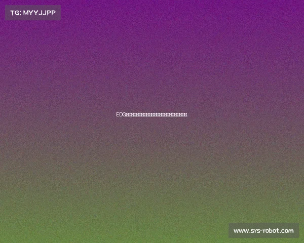 EDG电竞俱乐部在上海的家：灵石路、闵行和杨浦都有踪迹